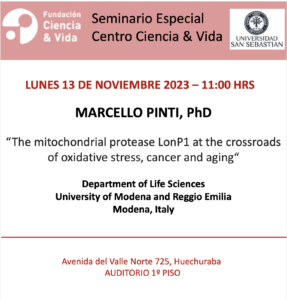 Seminario Especial 13 de Noviembre